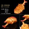 Realistic Insect Figure Collection Set Wasp Mantis Cicada Pupa Rhinoceros Beetle Nature Model Toy Gift For Fans Collectors