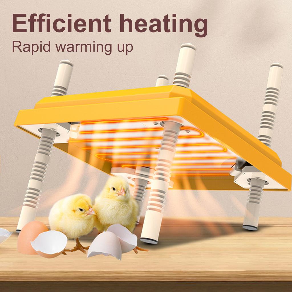 Chick Brooder Heating Plate, Multiple Sizes Chick Brooder Heater, Height Adjustable