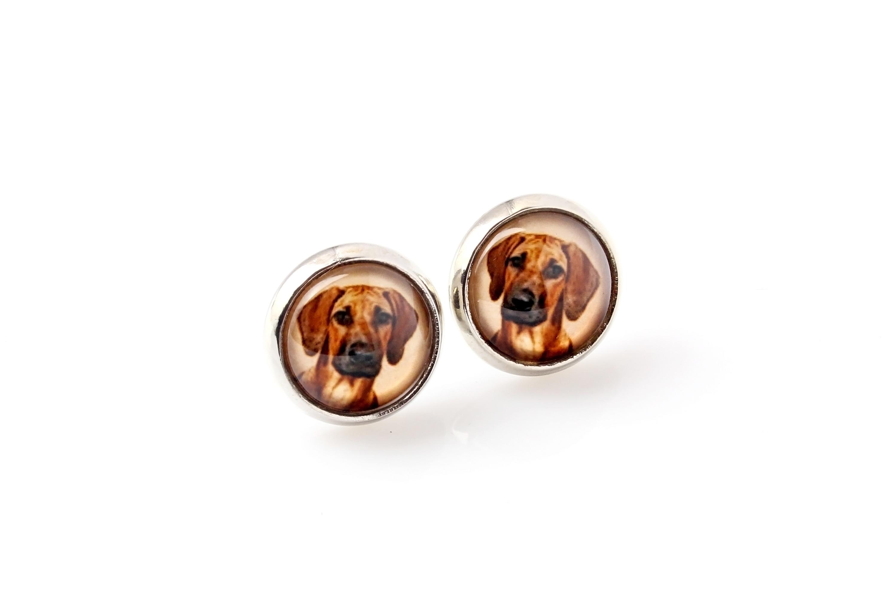 

Rhodesian Ridgeback, African Lionhound, African Lion Dog - earrings your photo handmade, own photo, jewelry from the Art.-Dog brand срібний