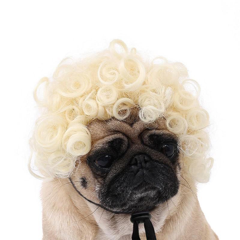 Pet Wig Collection: Afro Curly Hair Accessories for Dogs and Cats - Perfect for Halloween!