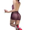 Guimeizi Sheer Lace Bodycon Lingerie Dress - Halter Neck Secretary Style