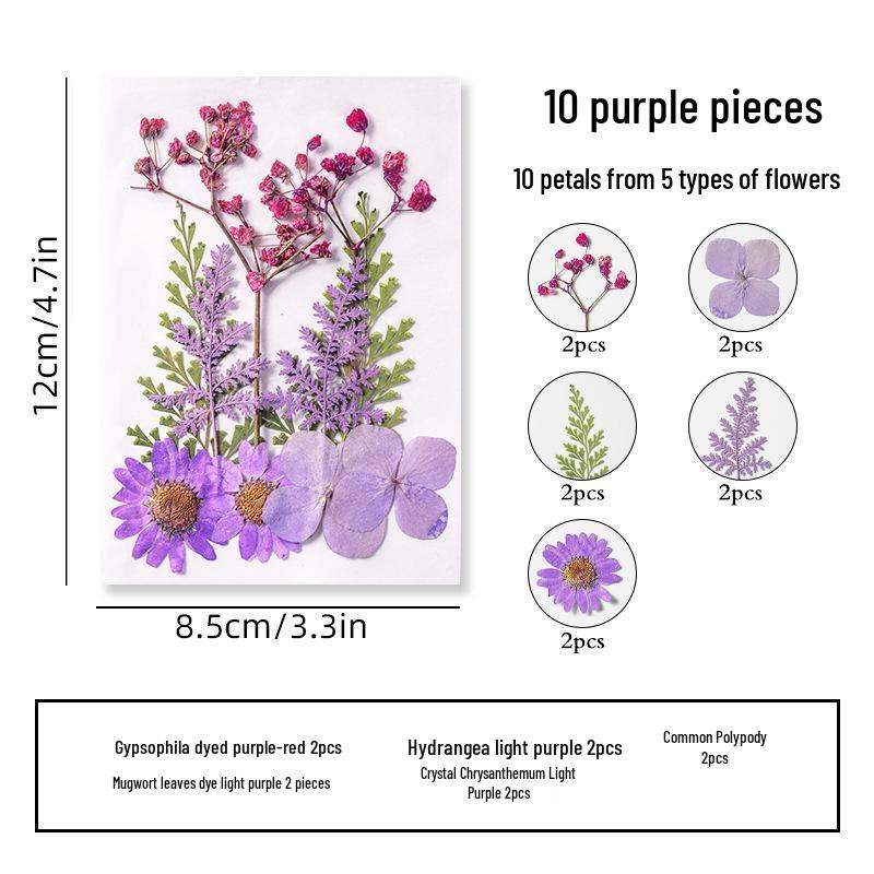 DIY Dried Flower Specimen Sticker Set for Kids: Handmade Pressed Flower Frames & Resin Bookmark Craft Kit