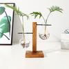 Plant Propagation Station with 1/2 Glass Vases And Wood Stand Decorative Tabletop Terrarium Planter Clear Glass Hydroponic Vase for Office Garden Home