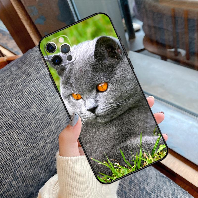 British Shorthair Cat Phone Case For iPhone 16 15 14 13 11 12 Pro Max 12 13 mini XR 15 16 Plus 16e Cover Shell