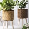 Handcrafted Yellow Rattan Plant Stand Durable And Portable Holder For Showcasing Green In Homes Offices Or Patios