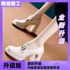 2025 Autumn New Metal Buckle Versatile Square Head Versatile Loafers Platform Thick Heel Waterproof Table Single Shoes Personality