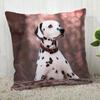 Pillowcase Dalmatians  Modern Home Living Room Decoration