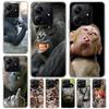 Monkey Memes Soft Phone Case For Xiaomi Redmi Note 15 14 14S 13 12 Pro Plus 12S 11 11S 11E 10 10S 11T 5G Fundas Coque Redmi Note