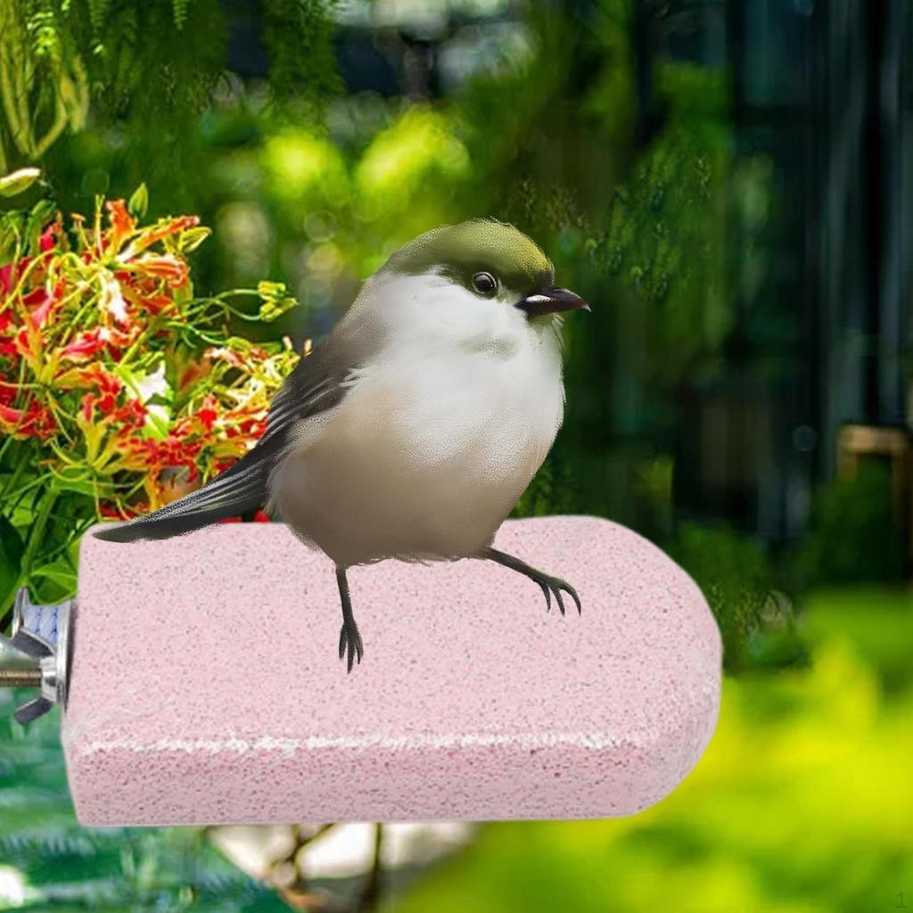 Vogelstange Trimmer Schnabel Schleifstein Papageienständer für Nagelschnitte Kanarienvögel Kleine Mittelgroße Vögel