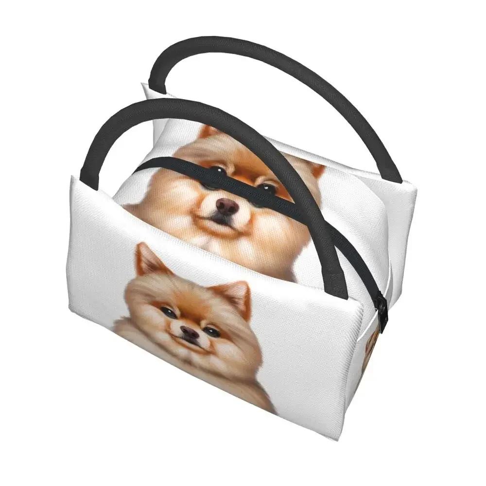 Cute Pomeranian Drawing Lunch Bags Insulated Bento Box Lunch Tote Picnic Bags Cooler Thermal Bag for Woman Kids School