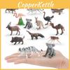 Mini Wildlife Animal Pvc Model Set With Static Figures For Collectors And Home Decor