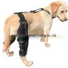 Hinterbein Kniebandage für Hunde: Haustier-Reha und Gelenkschutz
