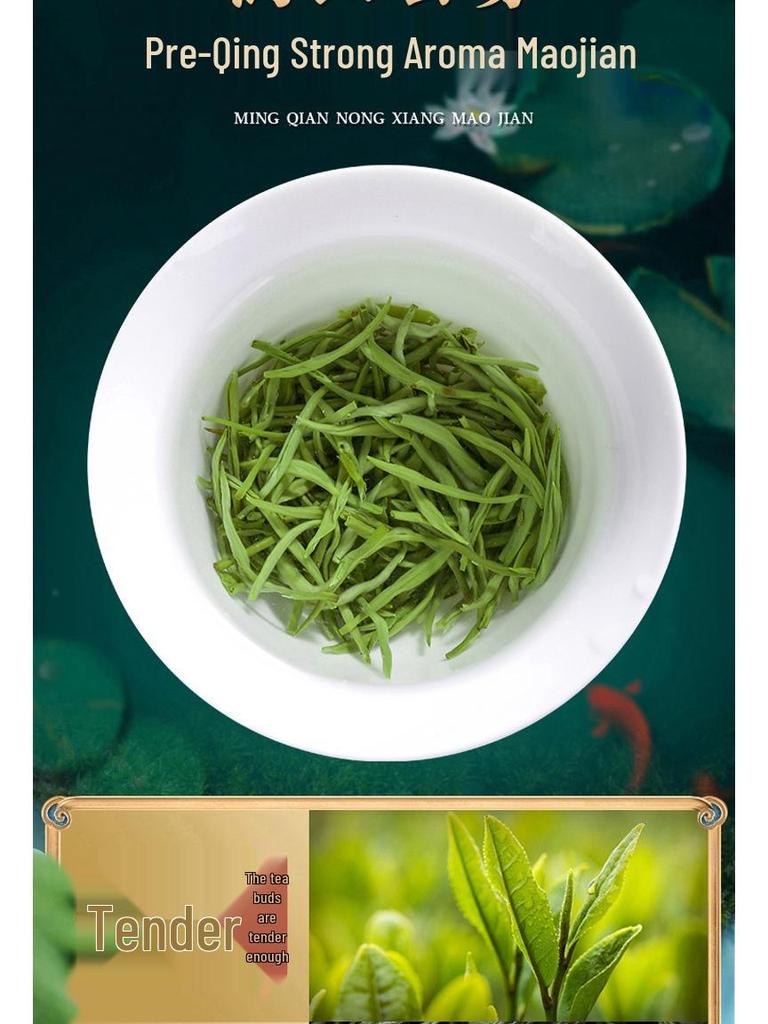 Mao Jian 2025 Pre-Rain High Mountain Green Tea Buds, 500g Can, Rich Aroma, Durable Infusion, Spring Tea Gift Box