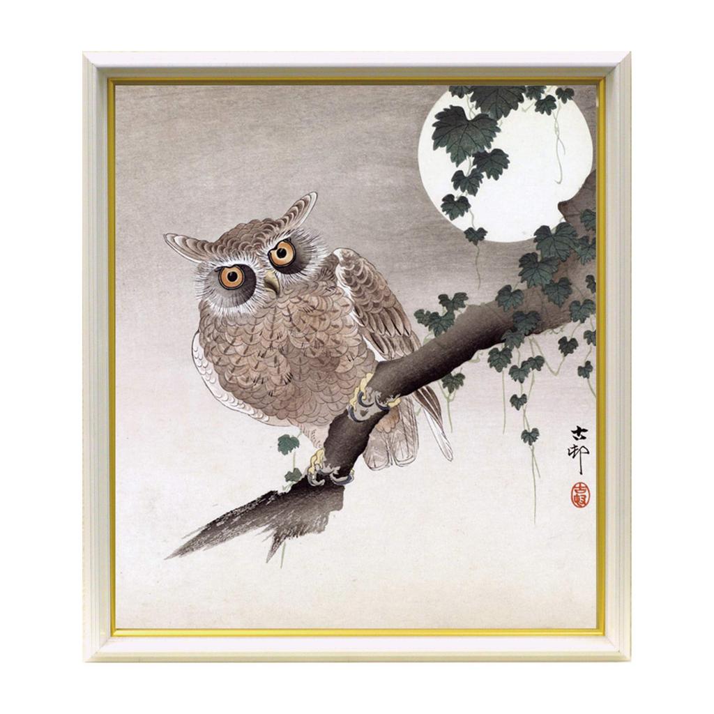 Großer Rahmen für farbiges Papier x 272 4953 8 x 9 Glas (242mm) (Weiß)