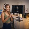 MusicMate MM-450 StudioMaster PRO Acoustic Screen Microphone