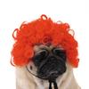 Are 10 Here Suggested Titles For The Pet Wig Product Based On The Information Provided
