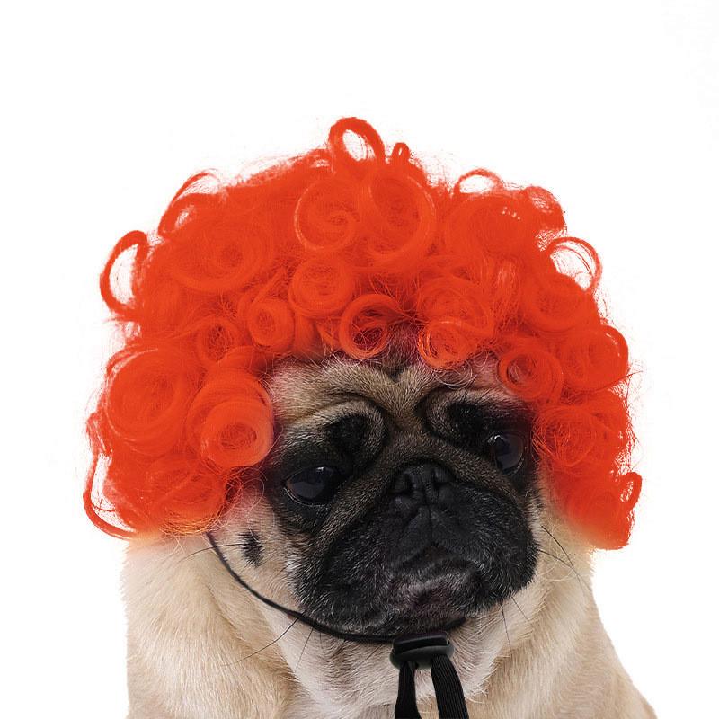 Are 10 Here Suggested Titles For The Pet Wig Product Based On The Information Provided