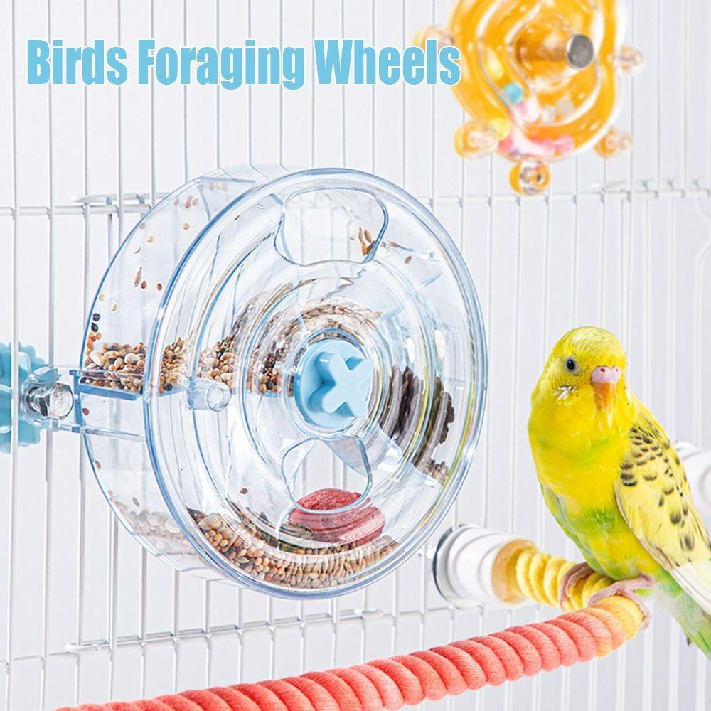 

Acrylic Parrot Food Box 5 Compartments Parrot Puzzle Feeder Fun Birds Cage Feeder Parrot прозорий