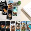 PP13 Cartoon  Capybara Phone Case for LG K22 K30 K40 K40S K41 K42 K50 K50S K51 K51S K52 K61 K62 K71 K92 Q60 Q61 V40 V50 V60