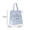 Portable Insulated Lunch Bag