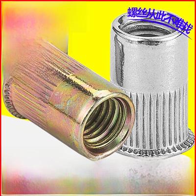 Zinc-Plated 304 Stainless Steel Vertical Grain Countersunk Rivet Nut (M4/M5/M6/M8)