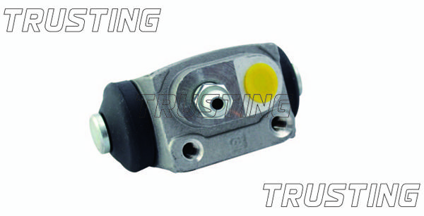 TRUSTING | Wheel Brake Cylinder Cf311 | Taille: 026 | Joom