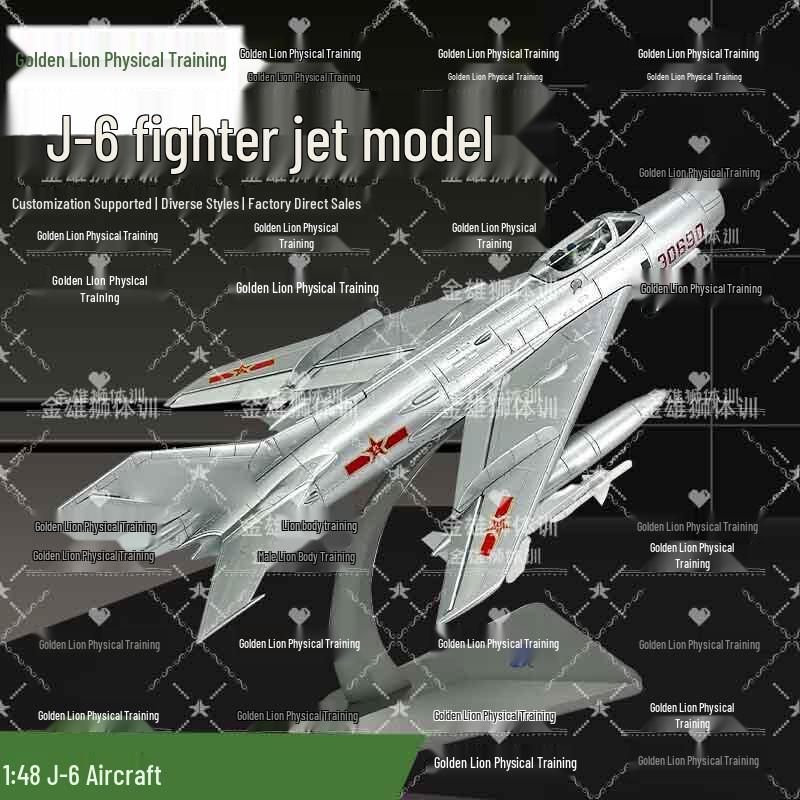 1:48 Alloy J-6 Fighter Jet Model