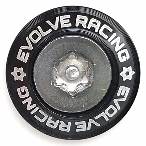 

EVOLVERACING Anti-Theft Bolt Set for License Plate Specific Vehicle Inspection (Black, Bolt Length 1.0 inches (25 mm) Bolt length 25mm чёрный