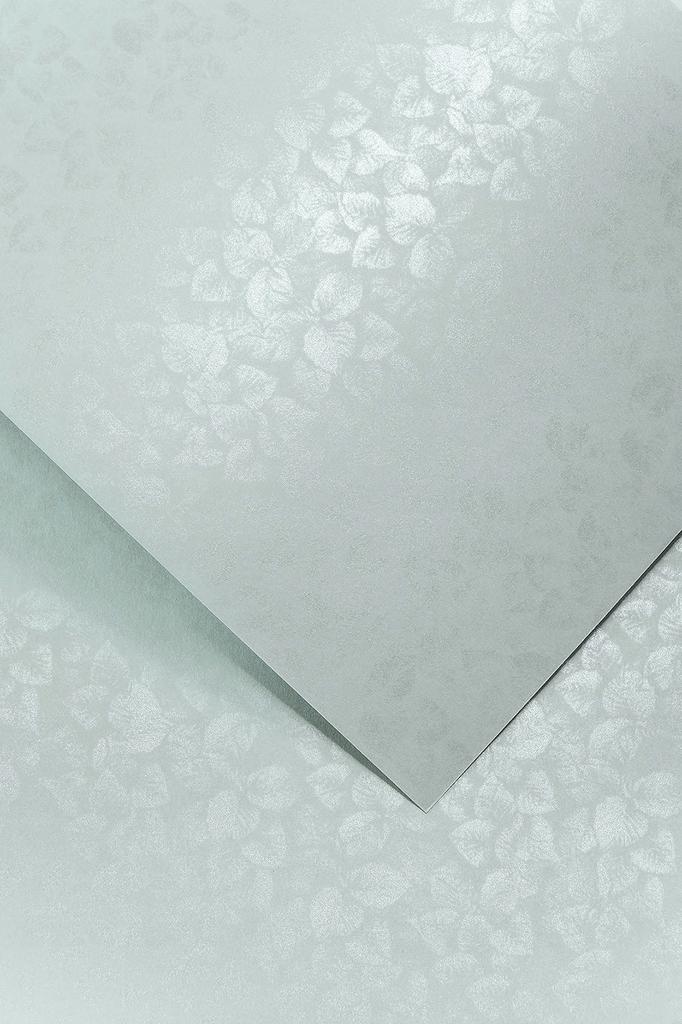 KARTON OZDOBNY LIŚCIE SZARY 250G/M2 (20)