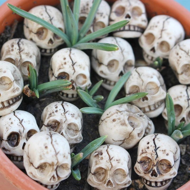 20Pcs Realistic Resin Skull Figures Ideal for Haunted Houses Decorations Home Garden Accents