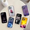 PNL QLF Sänger Rapper Band Handyhülle Für iPhone 17,16,15,14,13,12,11 Plus,Pro Max,XS,Weiche Silikon Schwarze Hülle