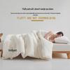 Thickened Soybean Fiber Quilt: Warm, Universal Winter Bedding