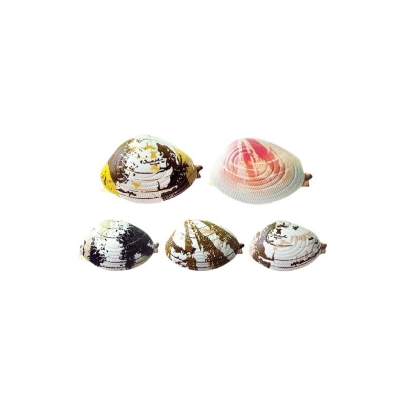 Squirt Clam Water Spray Gun Children Prank Trick Toy Gag Joke Gift
