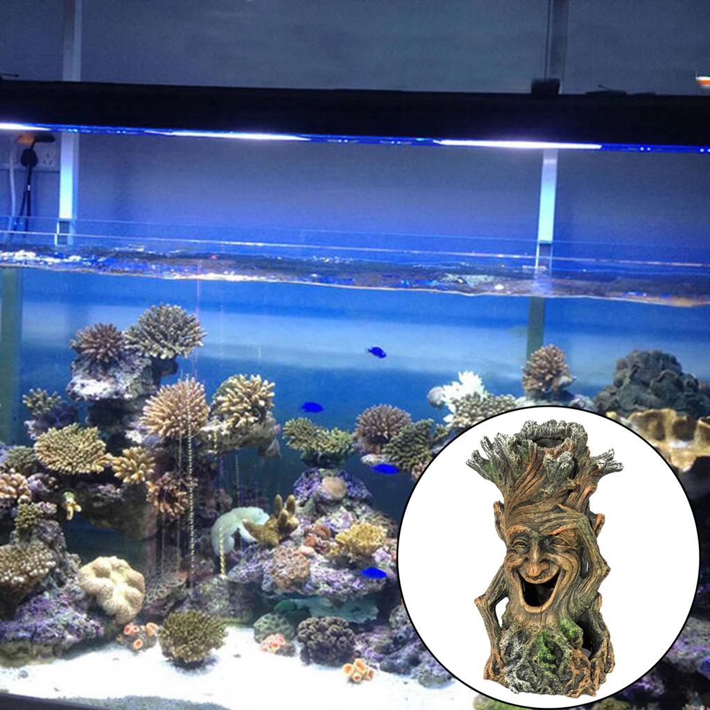 reef tank decorations
