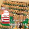 Thin & Crispy Scallion Crackers