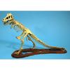 GLEMCOE MODELS 1/24 Tyrannosaurus Skeleton Plastic Model GM07906 Molded In Color