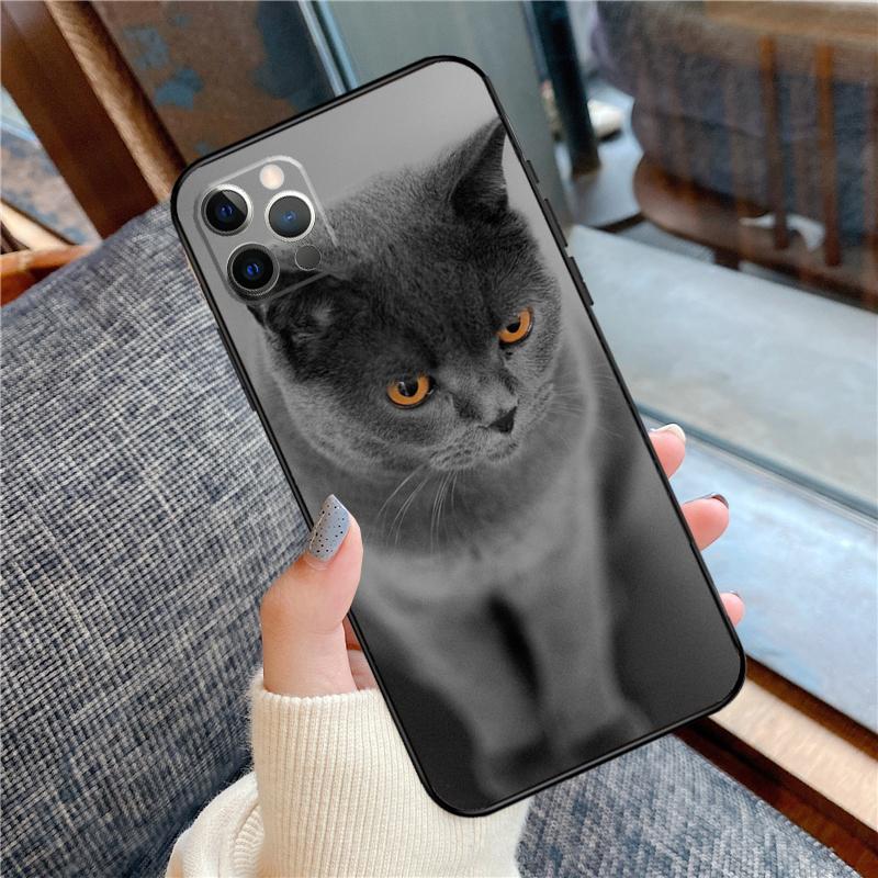 British Shorthair Cat Phone Case For iPhone 16 15 14 13 11 12 Pro Max 12 13 mini XR 15 16 Plus 16e Cover Shell