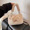 Korean Style Cute Plush Crossbody Bag: Women's 2025 Autumn/Winter Exquisite Versatile Handbag