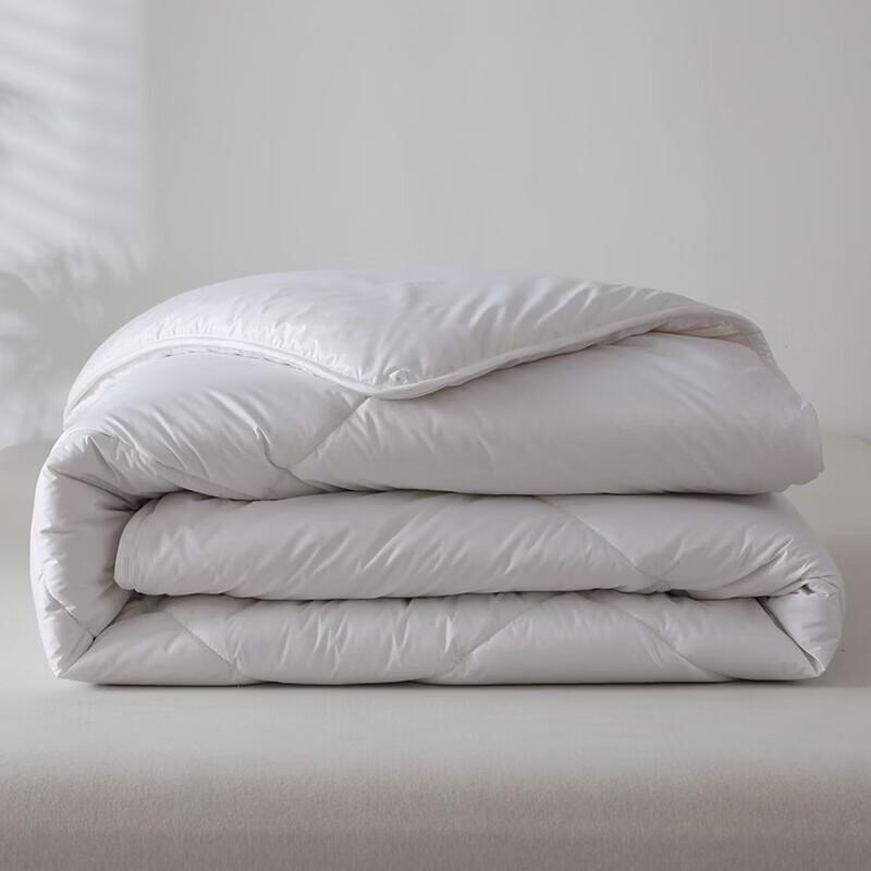 MINISO Bordeaux Washable Winter Duvet