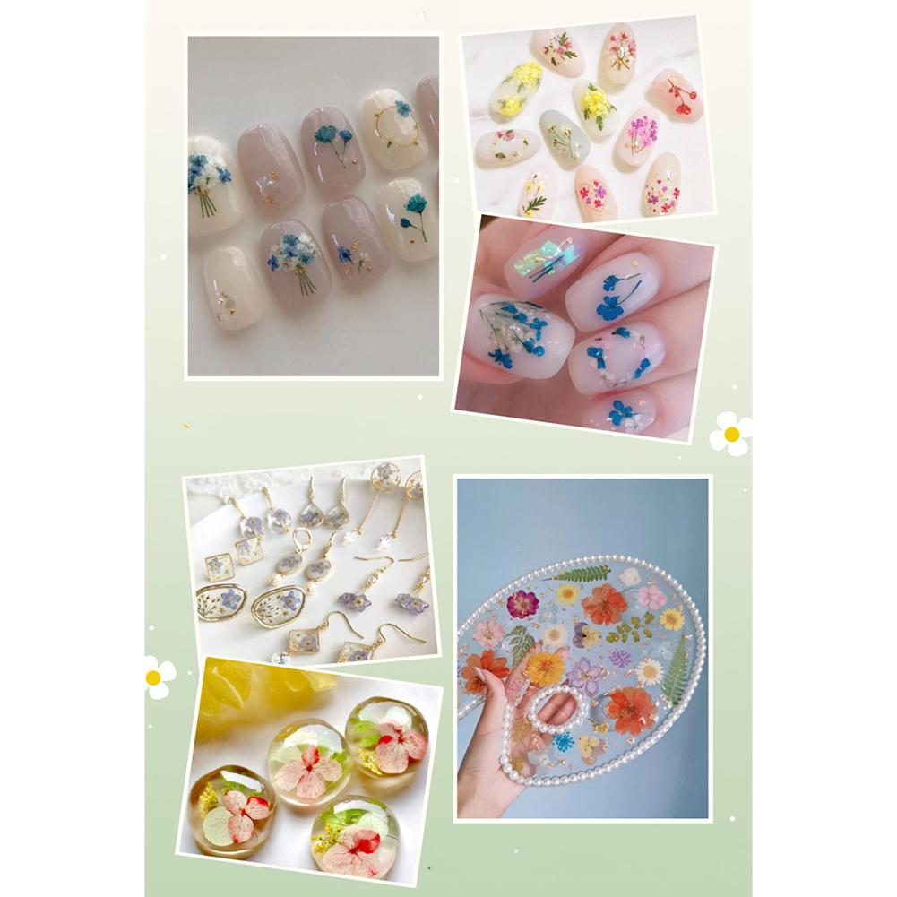 3D Nail Manicure Dried  Flowers 12 Kinds Colorful Realistic Diy Crafts Resin Jewelry Ornaments Phone Cases Invitation Cards Decor