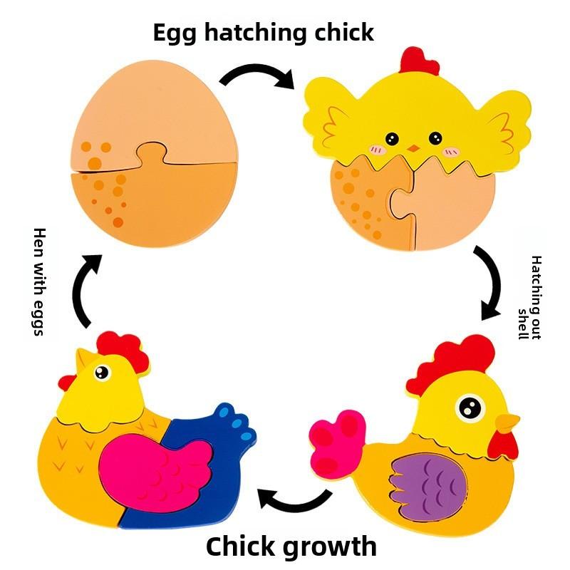 Animal Life Frog Cycle Jigsaw Puzzle Game For Kids Cognitive And Shape Skills