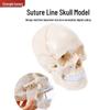 Produse pentru școală – Echipament pentru instruire