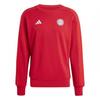 FC Bayern Munich Unisex Adult Dna Adidas Cotton Long-Sleeved Sweatshirt