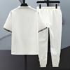 2Pcs/Set Men Summer Outfit Stand Collar Short Sleeve T-shirt Elastic Waist Drawstring Ice Silk Pants Set Tiger Print Casual Suit