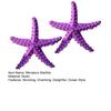 2 Pcs Mini Resin Starfish Ocean Decor Tiny Summer Starfish Figurine for Miniature DIY Crafts Fairy Garden Ornament Beach Party Home Decoration