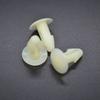 White Car Accessories Car Door Seal Clips 0009871015