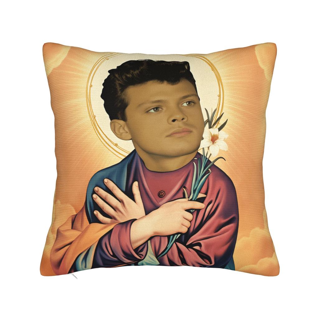 Singer L-Luis M-Miguel Pillow Cover  Retro Trendy Pillow Case For Sofa Couch Bed Living Room Soft Pillowcases Birthday Present