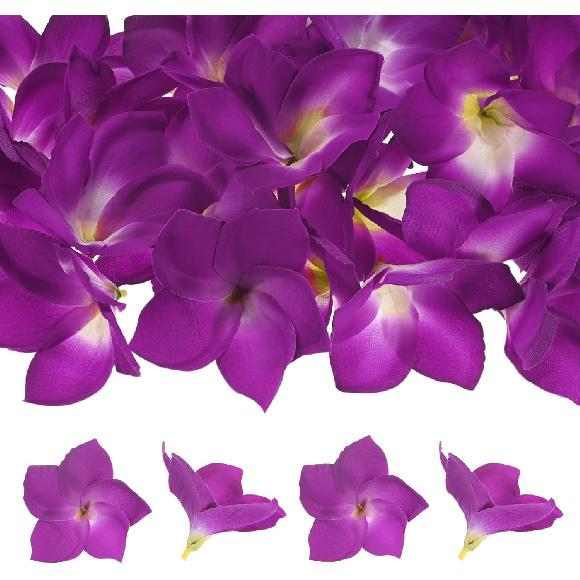 10-Pack Artificial Plumeria Flowers, Fake Silk Heads Flower Hawaiian Plumeria Petal for DIY Crafts/Dress/Wedding/Party Decoration [Champagne+Red,