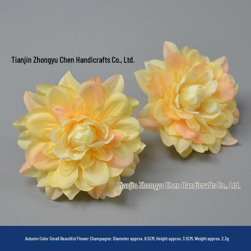 Champagne Silk Imitation Flowers for Hairpins, Hanfu Headdresses, Souvenirs, and Performance Accessories.