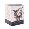 Meg Hawkins 250g Candle Donkey - Wild Flower Meadow